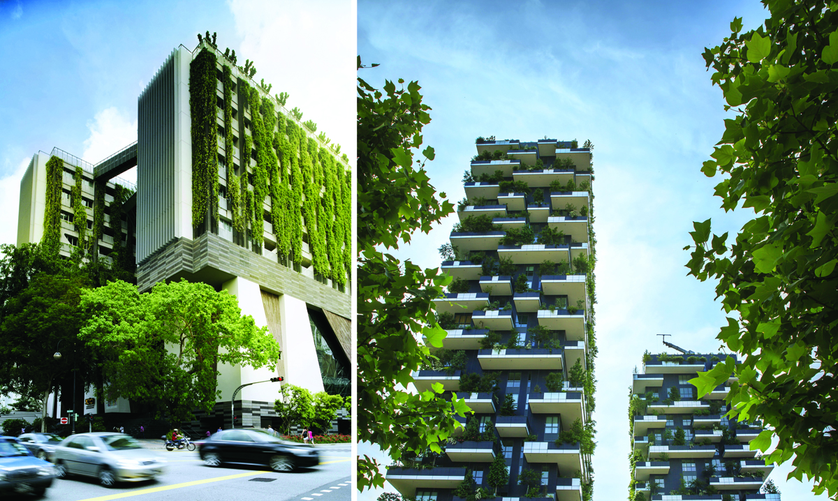 View of Green Building Envelope | CARDIGAN ROW